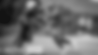 Inactives-Sponsor-2023