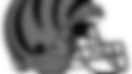 ben-hel-34-rf-web.png