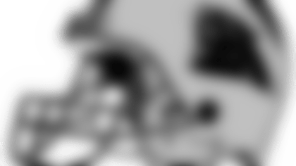 panthershel34lfweb.png