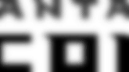 Expert_fal-ltyp-rb-web.png