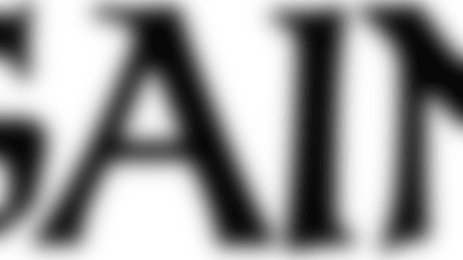 NFCS_Saints_Name.png