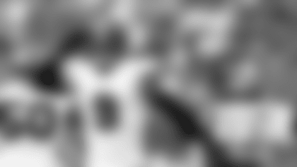 RapidReaction_WK2_16x9