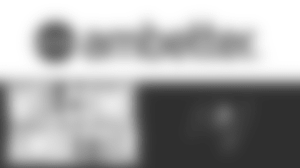 New Partner Announcement[1]