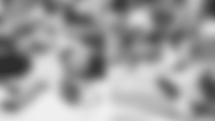 ertz_journal_6