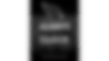 Arizona Cardinals Media Guide Cover 2019