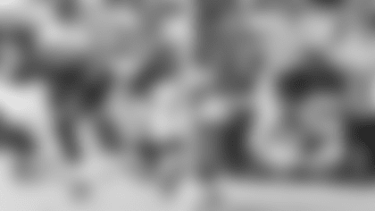 ertz_journal_4