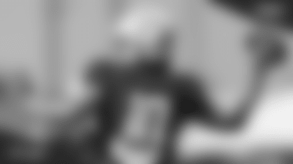 Herbert Buzz Sponsor