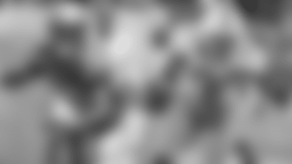 10_INSIGHTS_SAMUEL_JR