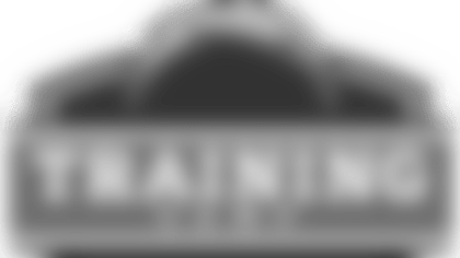 lac_training_camp_logo_2017.png