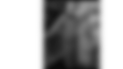 FS3