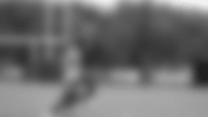 Screen Shot 2018-08-06 at 2.19.21 PM