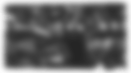 brush-centerpiece-free_agency