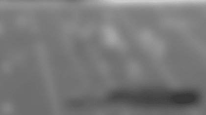 Screen Shot 2021-11-07 at 1.20.45 PM