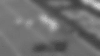 Screen Shot 2021-11-14 at 1.43.13 PM