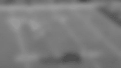 Screen Shot 2021-11-07 at 3.33.25 PM