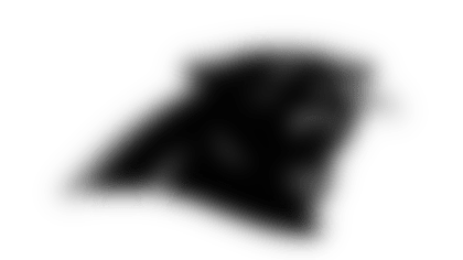 Panthers.png