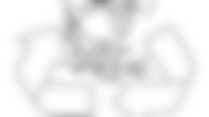 rockwrap-82714.png