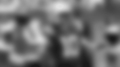 Story of the South - Thumbnail