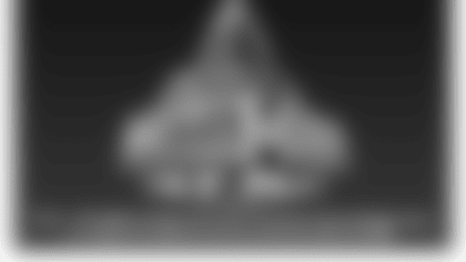 120215-wrestlemania-300x200-2012.png