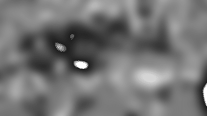 220x204-20120427-randle.png