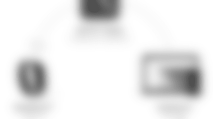 tt111517_3.png