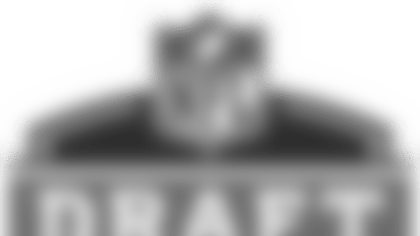 draft_2016_web.png