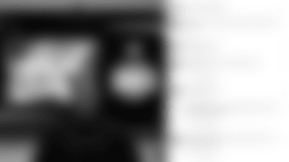 Screen Shot 2022-03-25 at 1.04.21 PM