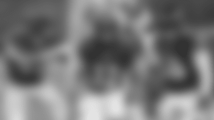 110720_QueenElliottFort