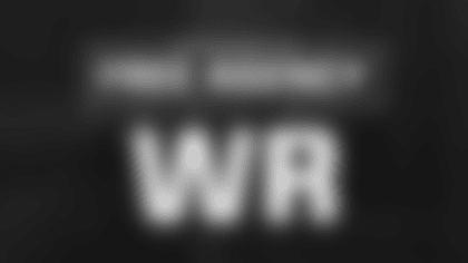 freeagencypreviewwr (1)