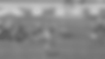 Football-101---Picture-No-5---Watt.png