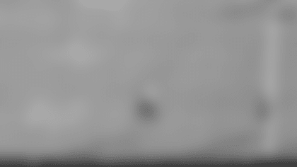 Screen Shot 2020-12-13 at 4.04.50 PM