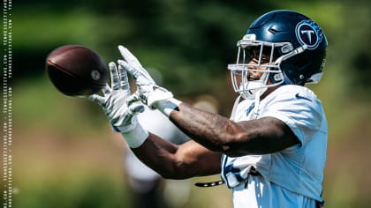 Teammates Express Concern After Titans WR Treylon Burks is Carted Off  Practice Field in Minnesota With an Injury