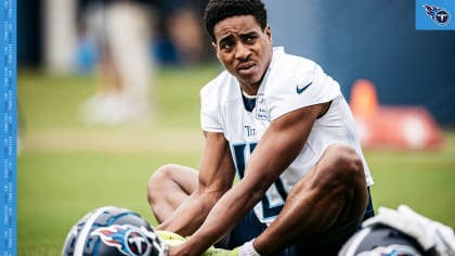 Dez Fitzpatrick: Tennessee Titans receiver in photos