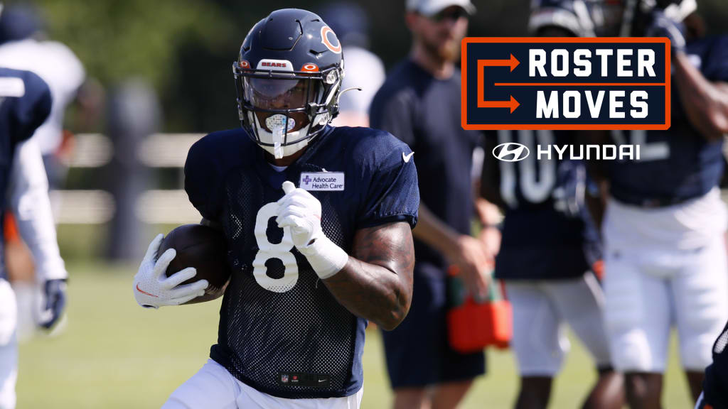 Roster Moves: Bears promote Eiselen, sign Fountain to practice squad