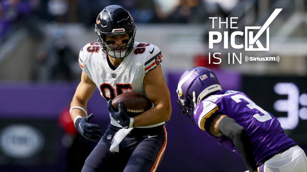 Chicago Bears vs. Minnesota Vikings Prediction and Preview