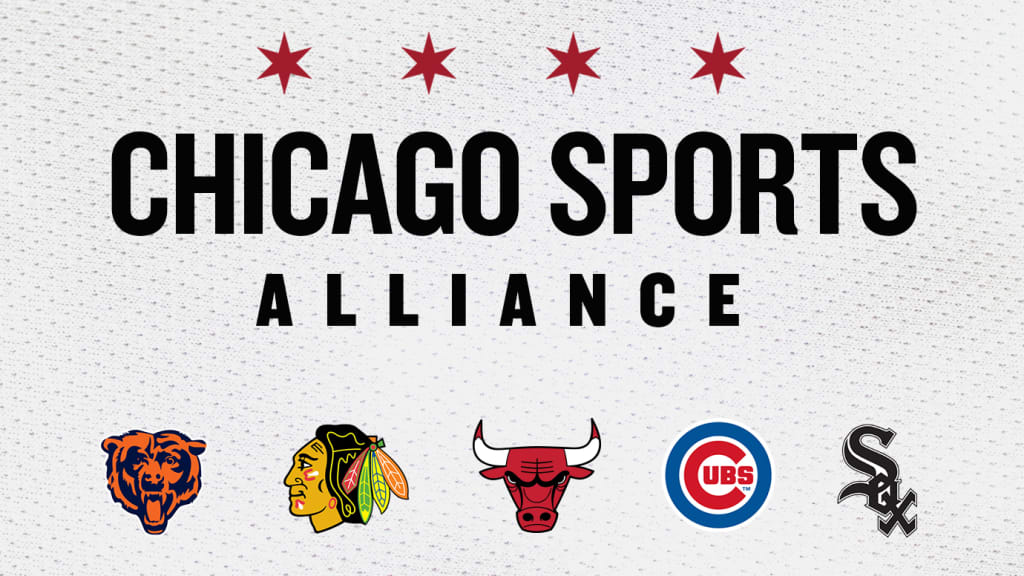 Official skyline Chicago Cubs White Sox Bears Bulls Blackhawks