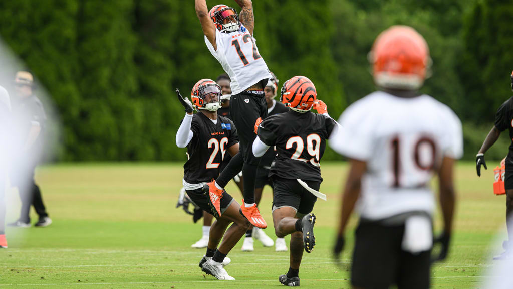 Bengals fans offer up front-row seats to the less fortunate