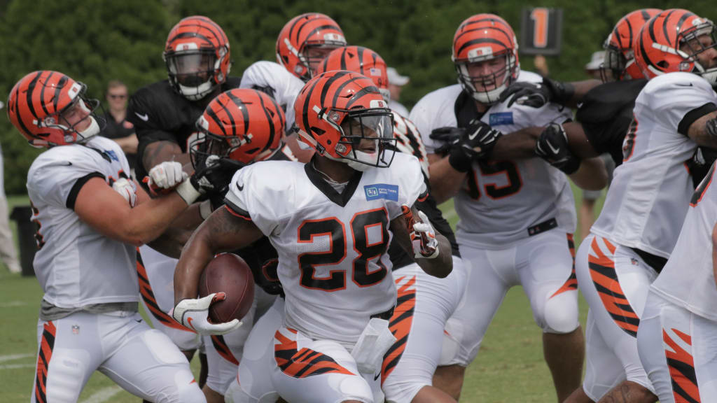 It's been a 'dream' playoff run for Joe Mixon and Cincinnati Bengals