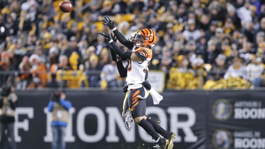 Gallery: Steelers at Bengals on Monday Night Football, Dec. 4