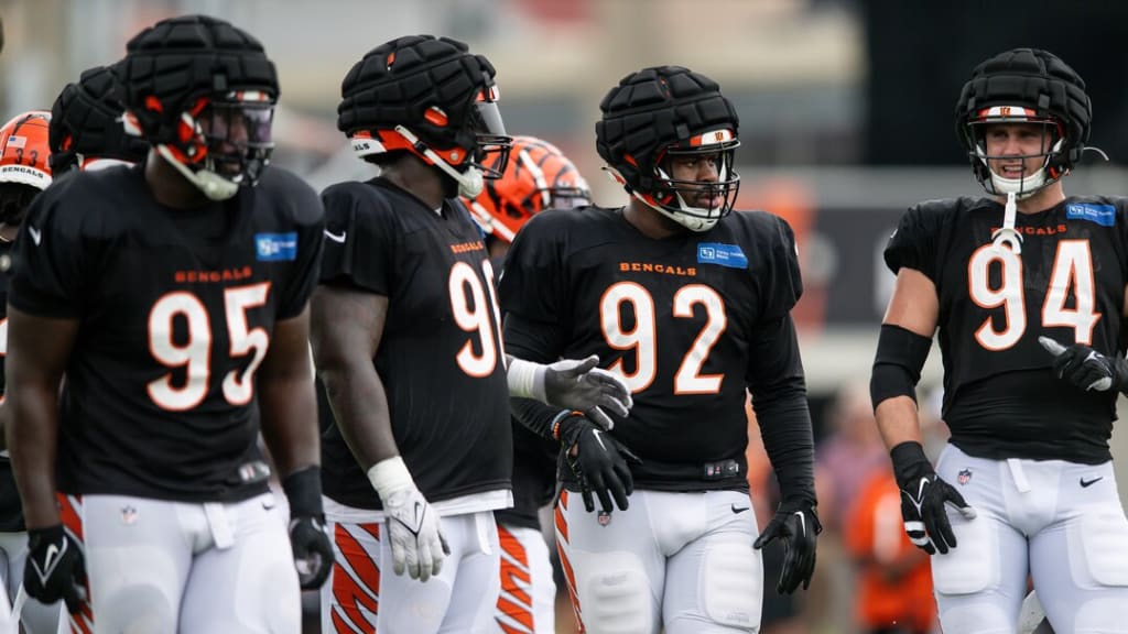 Training camp preview: A closer look at the Bengals' defensive line