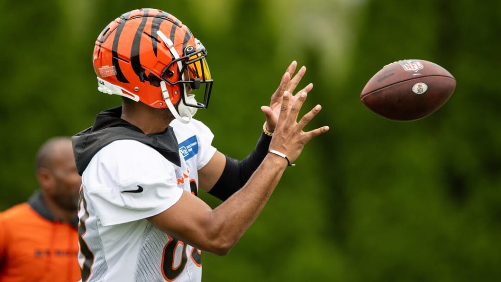 Cincinnati Bengals Trent Irwin Hosts Youth Football Camp At COC