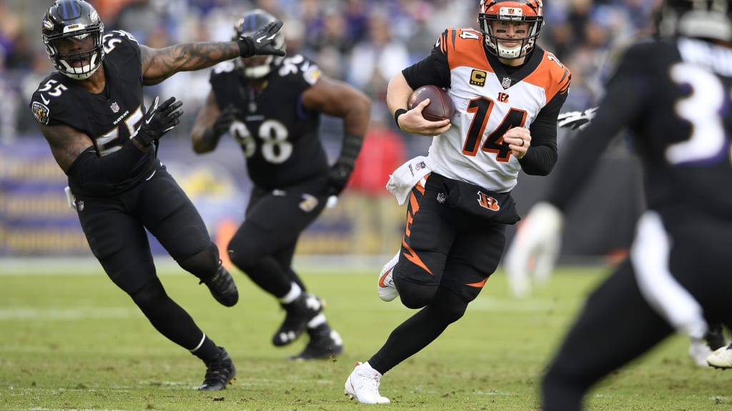 Team Report, Cincinnati Bengals - Footballguys