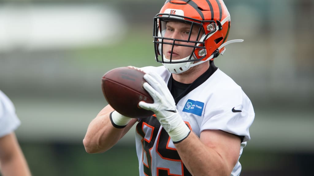 Bengals second-round pick Drew Sample impresses at rookie minicamp - Cincy  Jungle