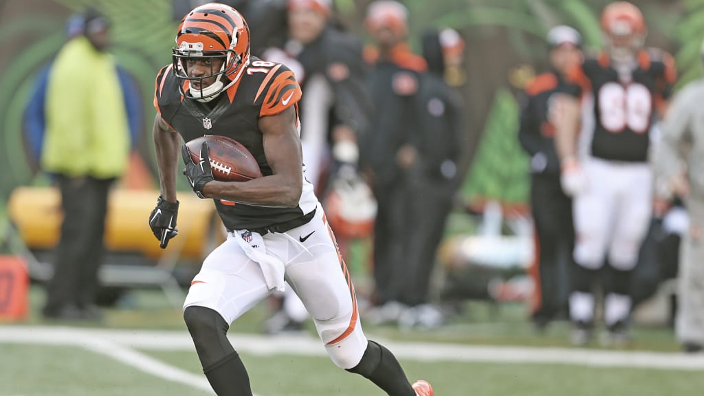 Green Bay Packers wide receiver Dontayvion Wicks (13) celebrates during a  preseason NFL football game against the Cincinnati Bengals on Friday, Aug.  11, 2023, in Cincinnati. (AP Photo/Emilee Chinn Stock Photo - Alamy