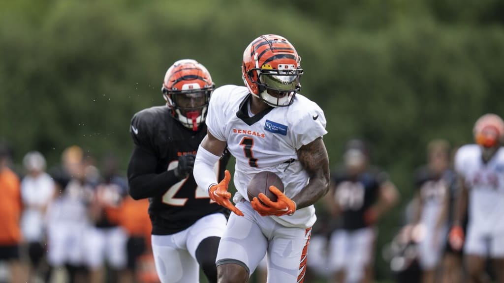 Bengals WR Tee Higgins holds himself out of team drills during training camp