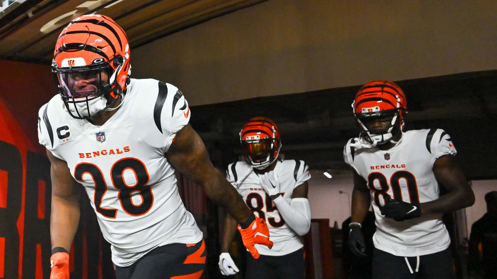 VIDEO: Brawl breaks out between Bengals, Rams during practice