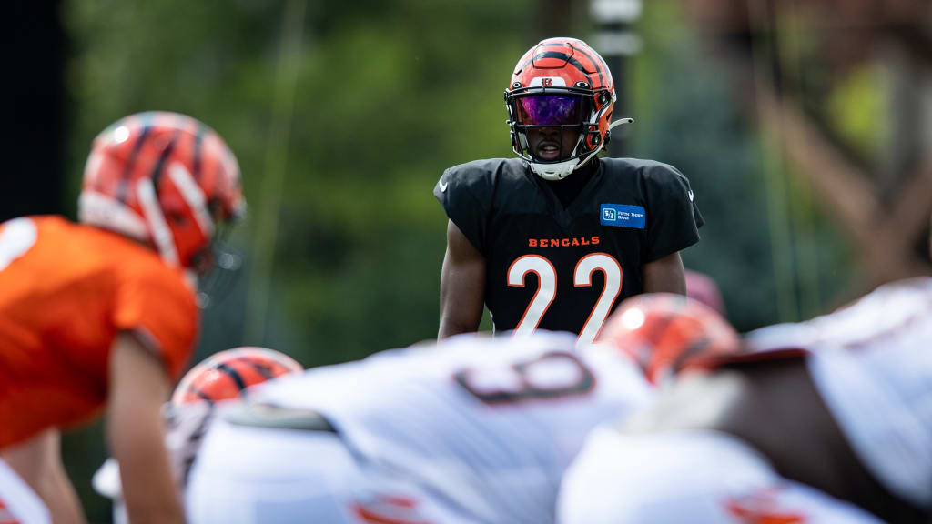 Bengals training camp: Cornerback Chidobe Awuzie's potential