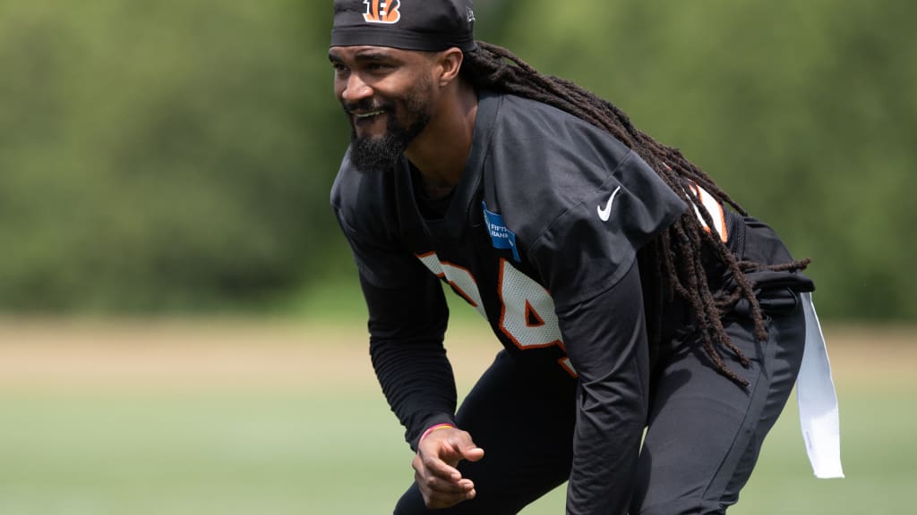 NFL: Bengals release Newport News, William & Mary product B.W. Webb