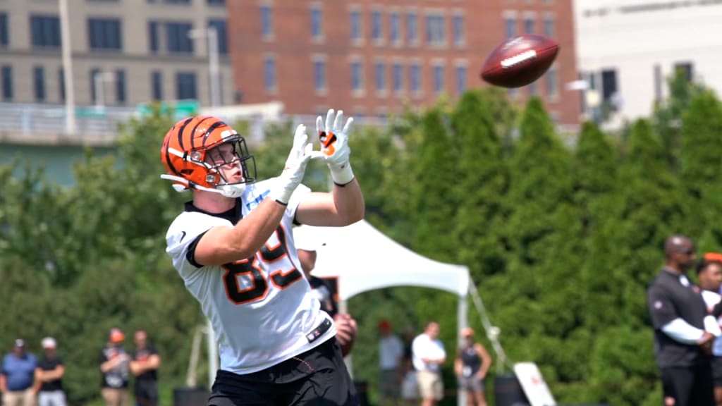 CINCINNATI, OH - JUNE 08: Cincinnati Bengals tight end Drew Sample (89)  during the Cincinnati Bengals OTA on June 8, 2021 at the Cincinnati Bengals  training facility in Cincinnati, OH. (Photo by