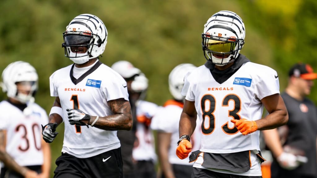 Tyler Boyd praises the maturation of Tee Higgins and Ja'Marr Chase